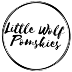 Little Wolf Pomskies